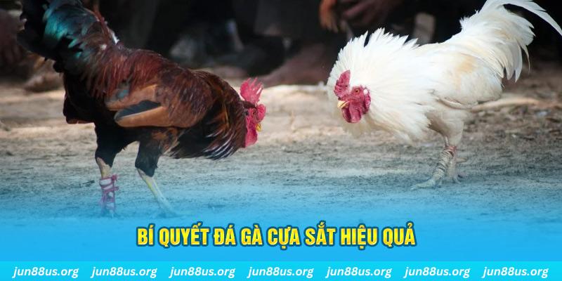 vn58 nổ hũ may mắn