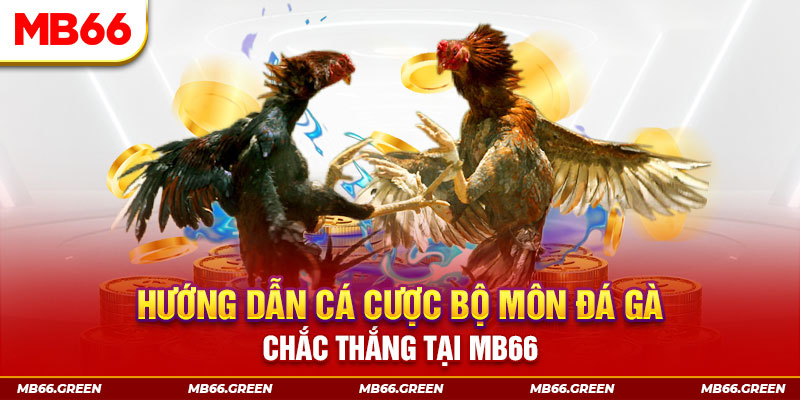 vn58 xổ số miền nam hôm nay