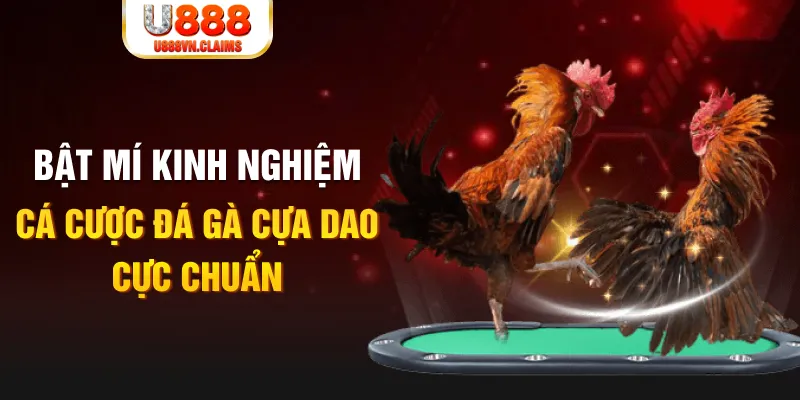 vn58 casino hồ tràm có cho người việt vào không