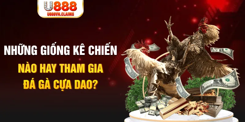 vn58 BG Trực Tuyến