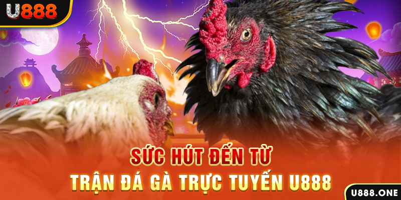 vn58 đăng nhập poker 2024
