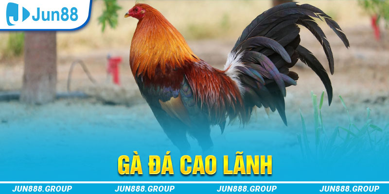 vn58 tai game vua bai ve may tinh