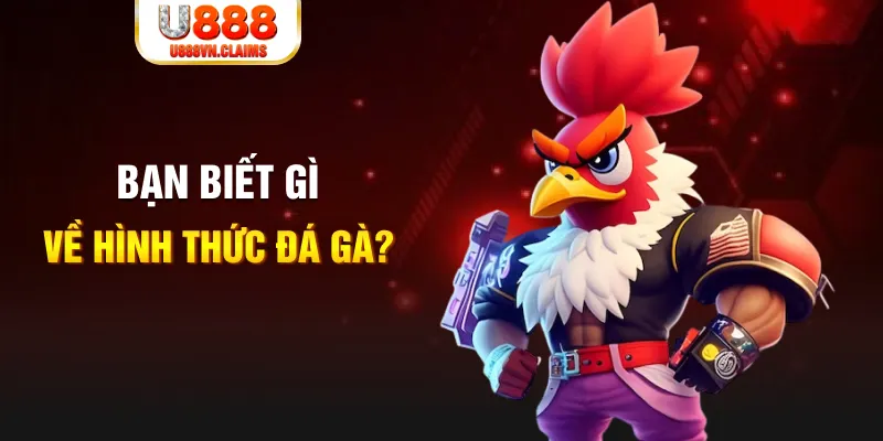 vn58 đăng nhập liêng tặng tiền