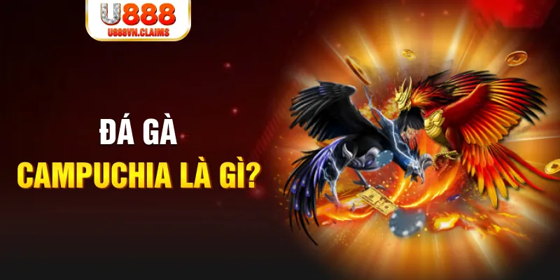 vn58 what is the best online casino for real money