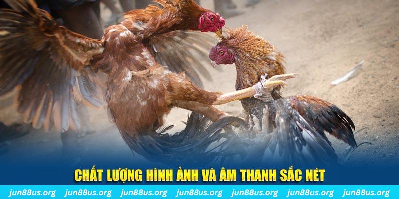 vn58 tai game danh bai mien phi ve may tinh