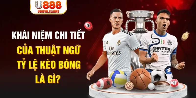 vn58 Long Hổ 2