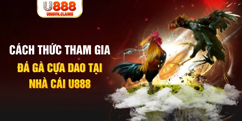 vn58 đá gà 88.com