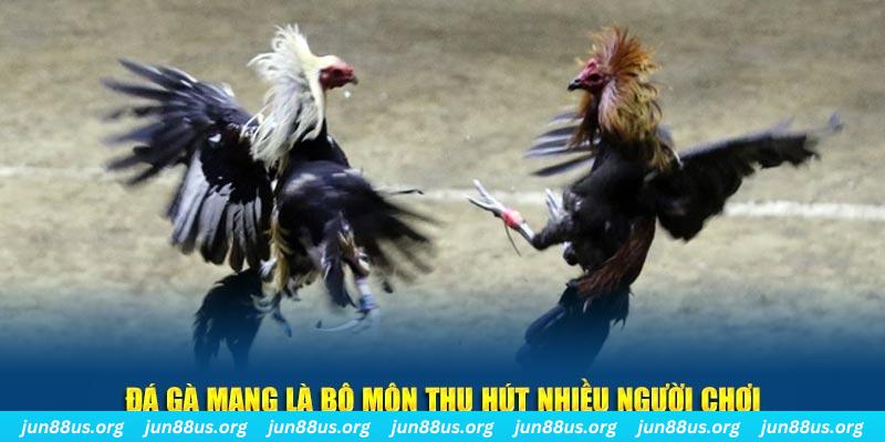 vn58 đăng nhập sòng bạc số 1