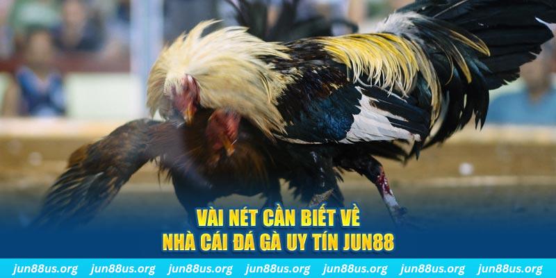 vn58 Jones Chuối
