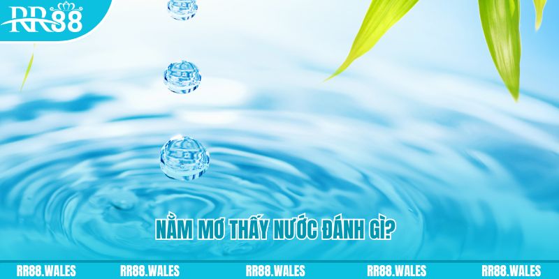 vn58 xổ số trực tiếp miền bắc