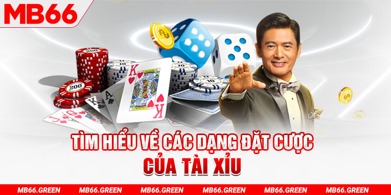 vn58 what is a casino loyalty program