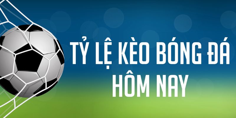 vn58 đăng nhập phỏm