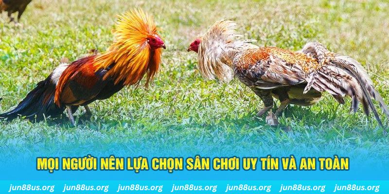 vn58 đăng nhập poker 2025