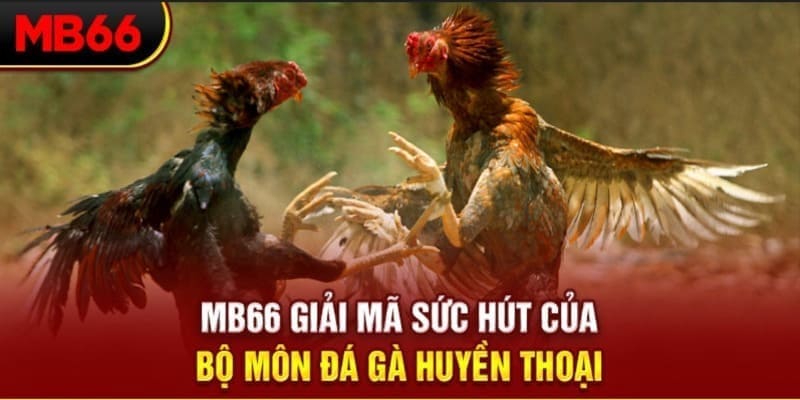 vn58 xổ số đài bắc
