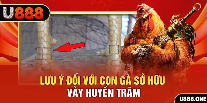 vn58 tải game đánh bài tiến lên miền nam về máy tính