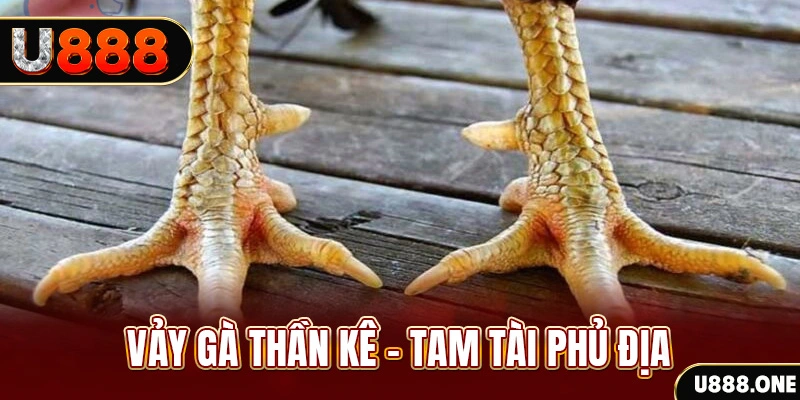 vn58 so xo mien trung