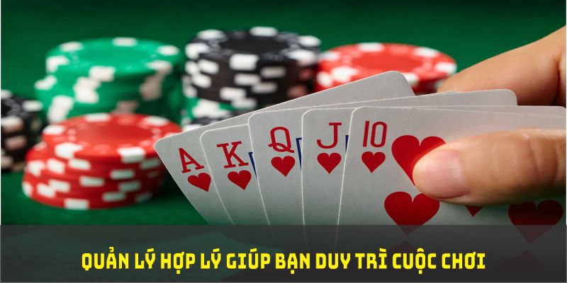 vn58 đá gà trực tiếp thomo 67