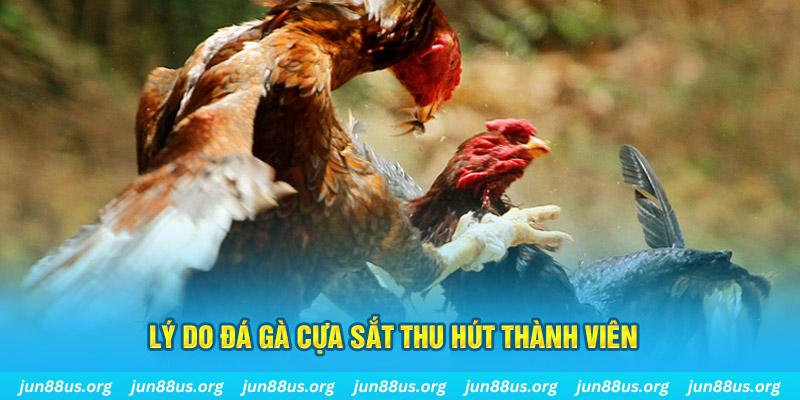 vn58 nổ hũ ăn bao nhiêu