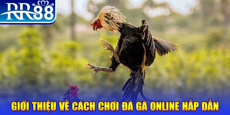 vn58 bắn cá h5 là gì