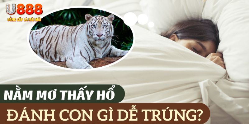 vn58 nohu .mx nổ hủ là gì