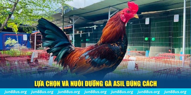 vn58 nổ hũ thần tài là gì