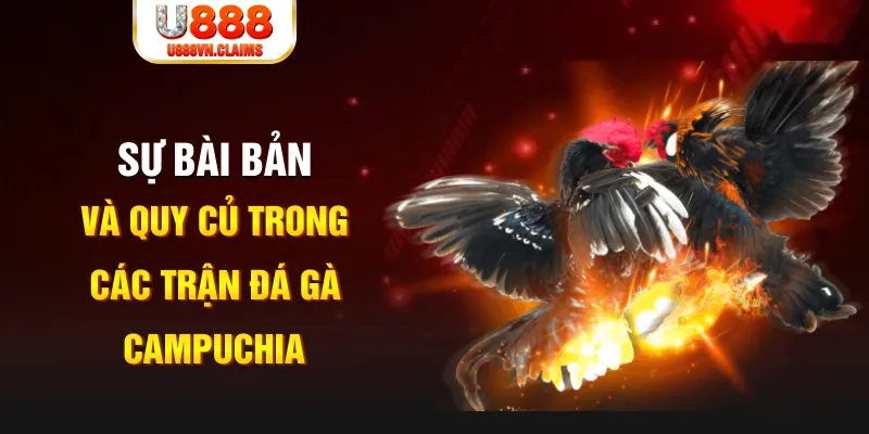 vn58 game xếp bài trên máy tính