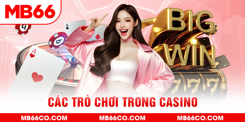 vn58 chổi lông gà