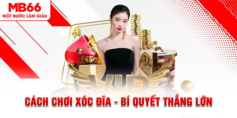 vn58 Đĩa màu ace