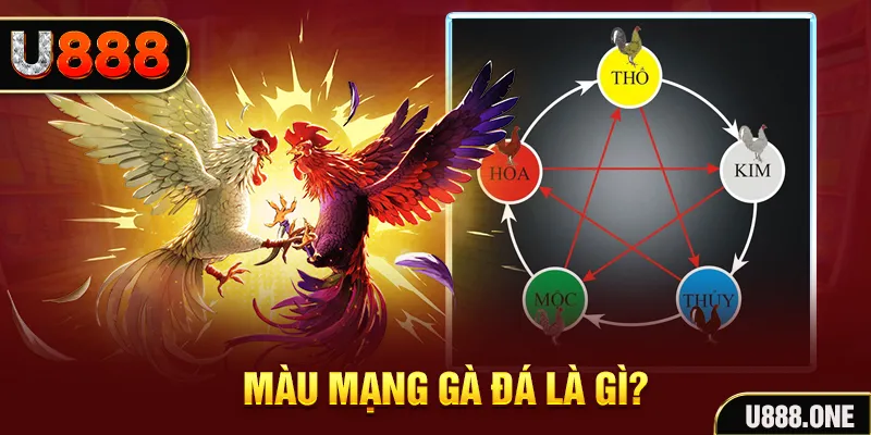 vn58 V8 Game Bài 3d