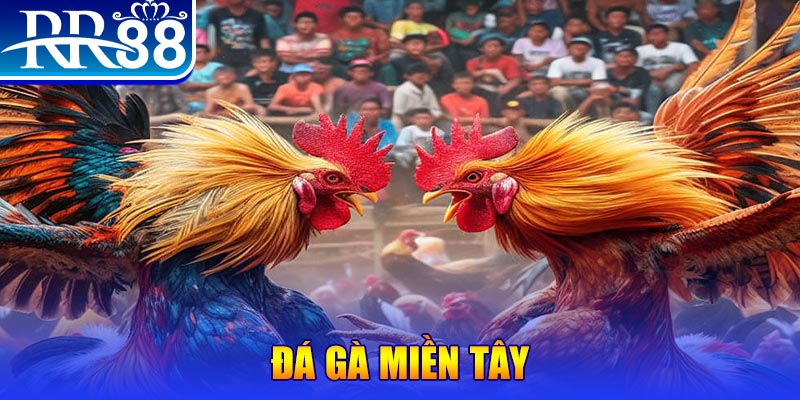 vn58 đăng nhập liêng đổi thưởng