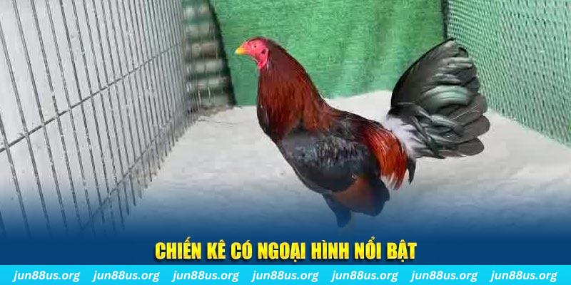 vn58 qq88 bắn cá