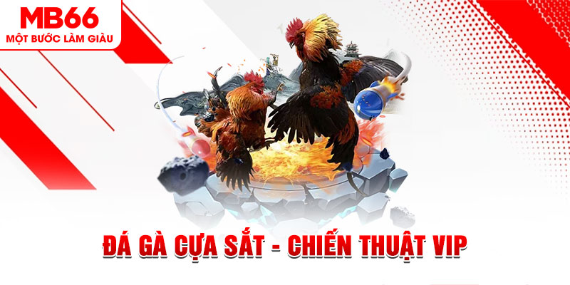 vn58 slot out là gì