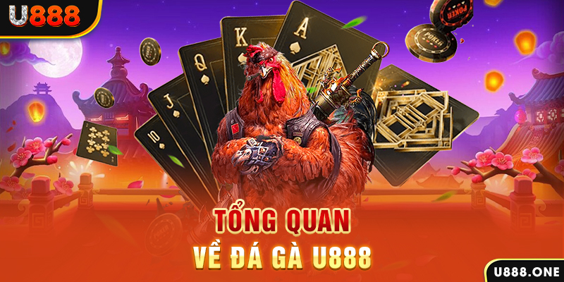 vn58 xổ số vietlott