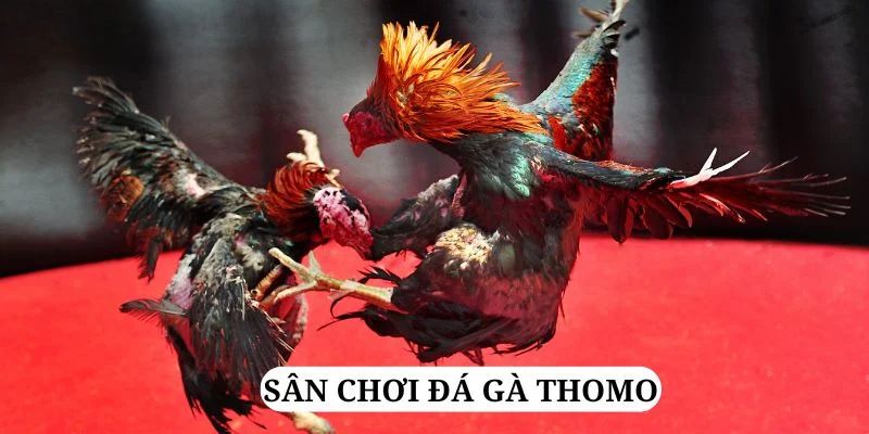 vn58 quay nổ hũ là gì