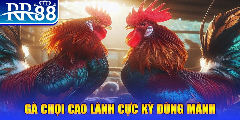 vn58 đăng nhập poker live